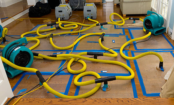 Professional Crawl Space Water Removal technician working in Paso Robles, CA